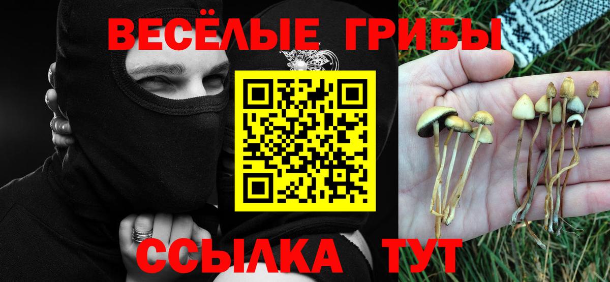 Галлюциногенные грибы мицелий Ростов Великий