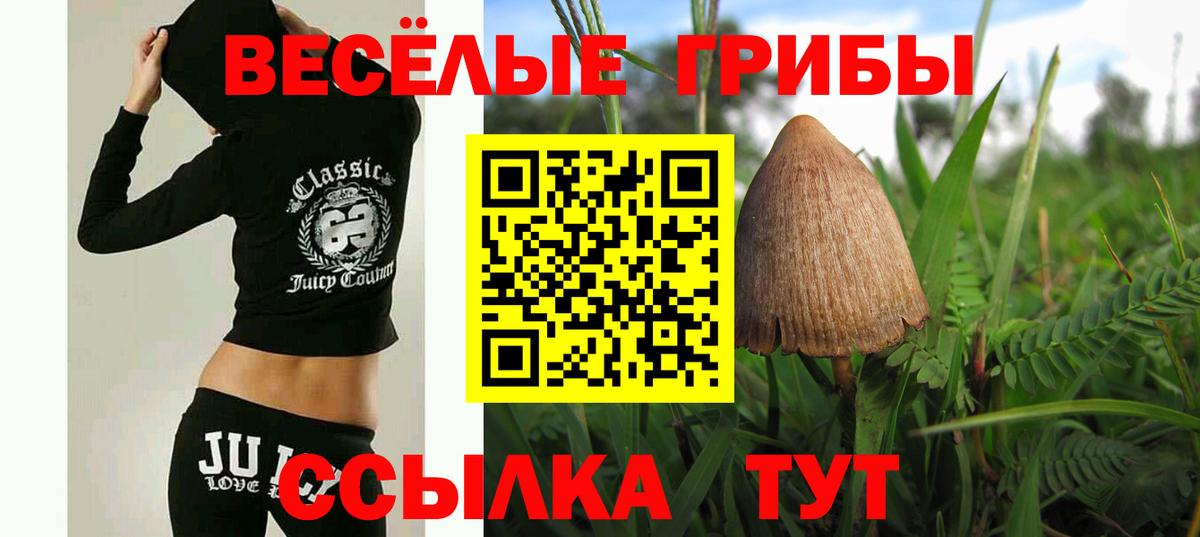Псилоцибиновые грибы ЛСД  Вход с VPN  Ростов Великий 